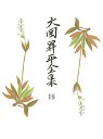 大岡昇平全集１６