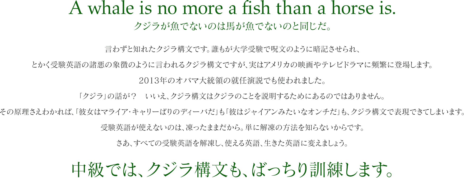 A whale is no more a fish than a horse is.クジラが魚でないのは馬が魚でないのと同じだ。言わずと知れたクジラ構文です。誰もが大学受験で呪文のように暗記させられ、とかく受験英語の諸悪の象徴のように言われるクジラ構文ですが、実はアメリカの映画やテレビドラマに頻繁に登場します。2013年のオバマ大統領の就任演説でも使われました。「クジラ」の話が？　いいえ、クジラ構文はクジラのことを説明するためにあるのではありません。その原理さえわかれば、「彼女はマライア・キャリーばりのディーバだ」も「彼はジャイアンみたいなオンチだ」も、クジラ構文で表現できてしまいます。受験英語が使えないのは、凍ったままだから。単に解凍の方法を知らないからです。さあ、すべての受験英語を解凍し、使える英語、生きた英語に変えましょう。中級では、クジラ構文も、ばっちり訓練します。 