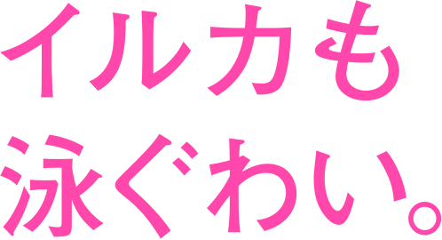 加納愛子（Aマッソ）『イルカも泳ぐわい。』 